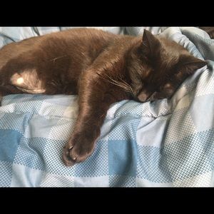 Meet your Posher, Stephen